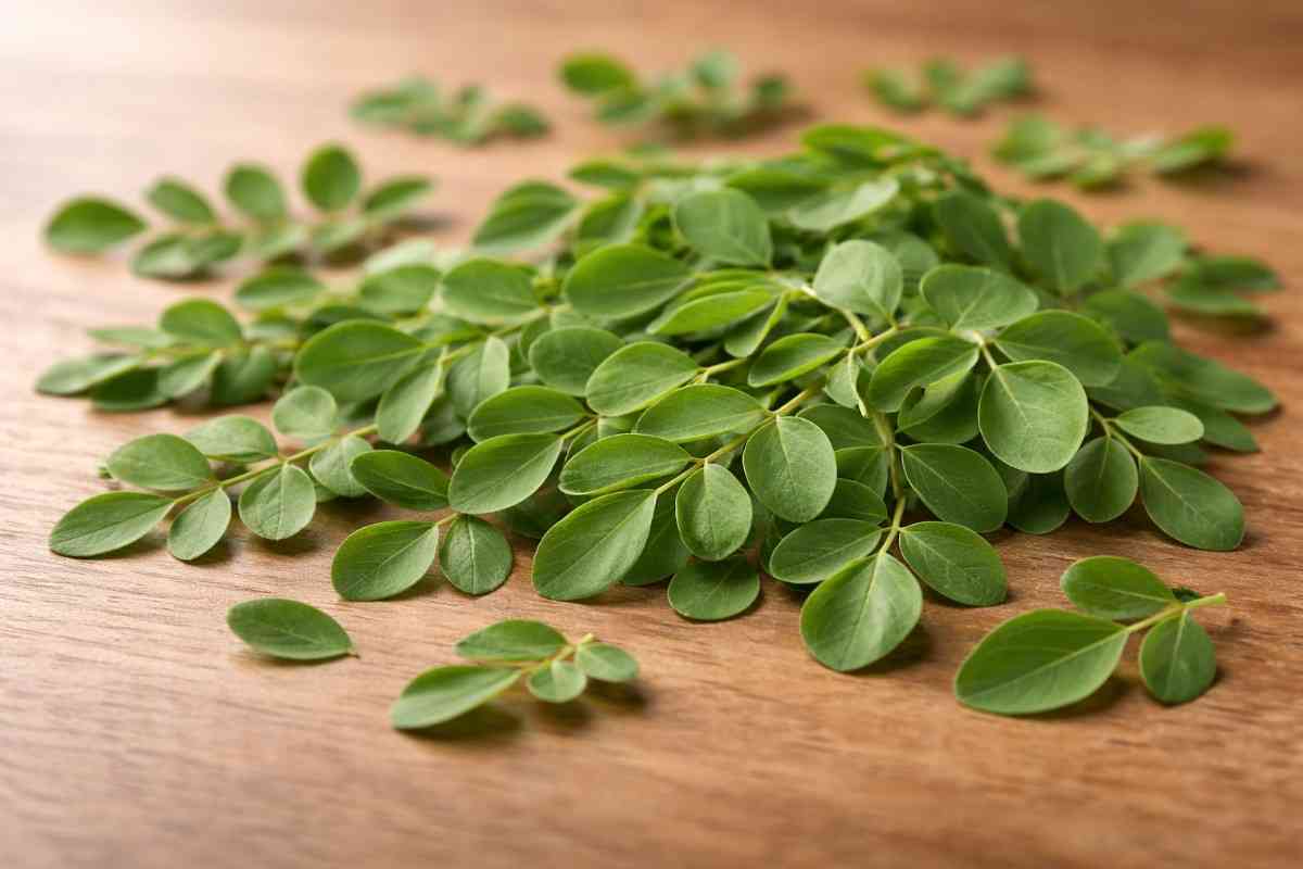 Organic Moringa Leaves