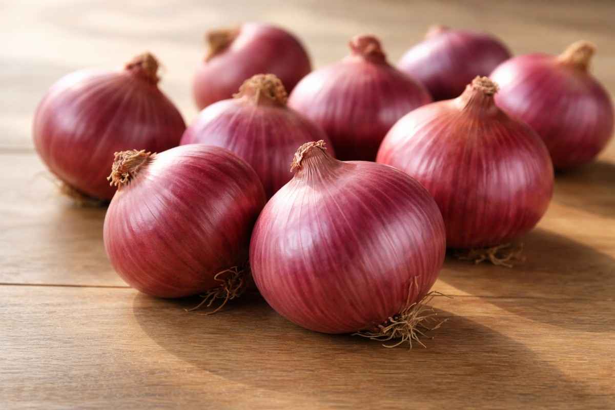Premium Export Quality Onions
